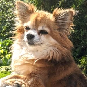 Meet your Posher, Patricia